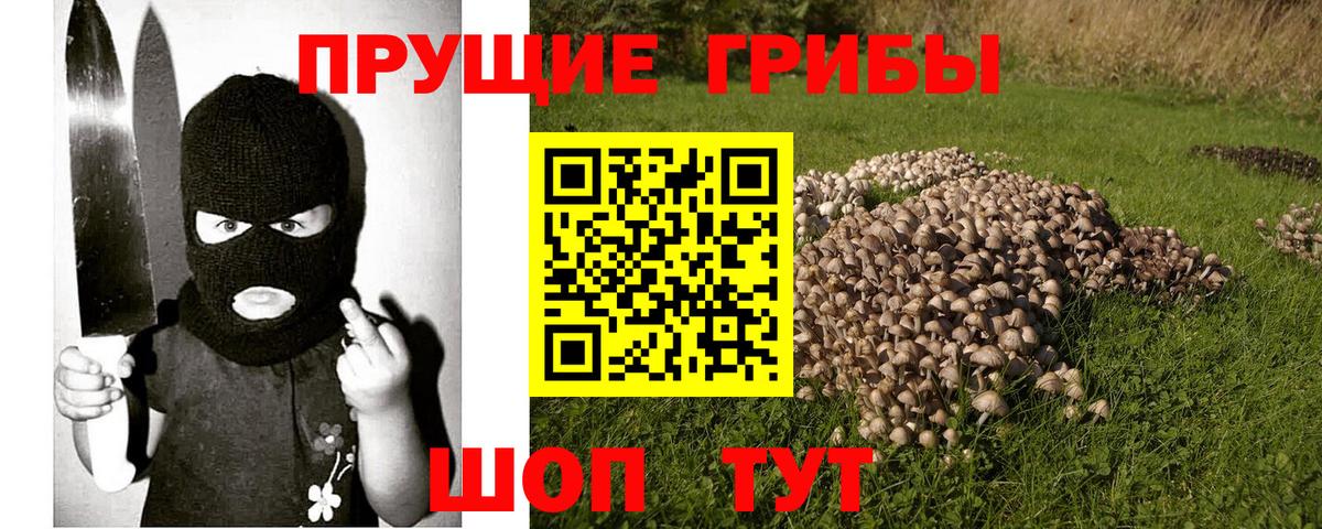 Псилоцибиновые грибы Psilocybe  Вход с VPN  Архангельск 