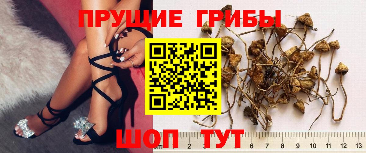 Галлюциногенные грибы Magic Shrooms Архангельск